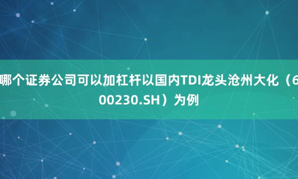哪个证券公司可以加杠杆以国内TDI龙头沧州大化（600230.SH）为例